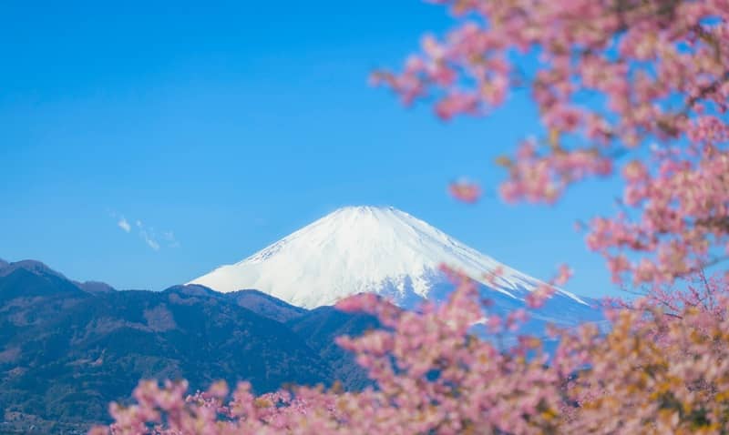 Japan’s Top Destinations During Cherry Blossom Season