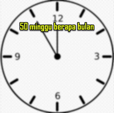 50 minggu berapa bulan x