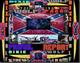 DW PROWL REPORT