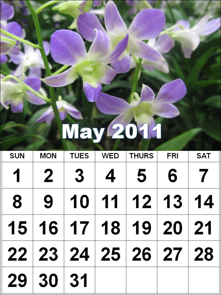 calendar 2011 april may. 2011 april may 2011 calendar