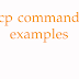 Một số ví dụ cp command line trên Linux
