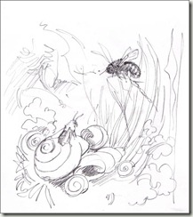 osmia fam 1 bg