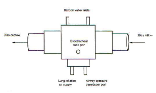 Balloon Valve2