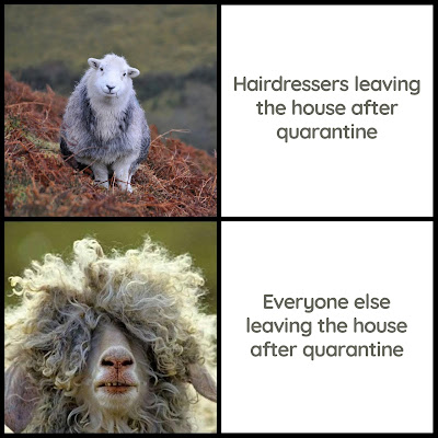 Hairdressers Essential Business Covid19 Meme