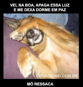 https://blogger.googleusercontent.com/img/b/R29vZ2xl/AVvXsEgqQo2cnI7p4LSyZM_sMN61HTRnWigr98iAFv9fmnXX00825KZ7rcasDGXNSKlsriVjt2kPW9FbNwPc-vLdjAL_puskdp7agfMmAo11AXLt4GeK9tet1Yc-hbNsMDBs5nqOy-30rN4j3Qq2/s1600/cachorro+ressaca+coracionei.jpg