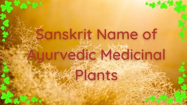 Medicinal plants names in Sanskrit