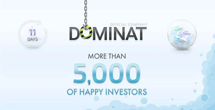 Новости от проекта Dominat