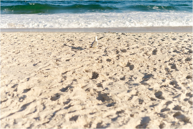 beach, family photography, Hamptons, New York, New Jersey photography