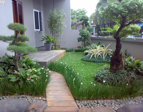 Contoh Desain  Taman  Minimalis  Sederhana  Taman  Minimalis  