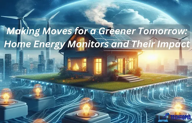 Making Moves for a Greener Tomorrow: Home Energy Monitors and Their Impact