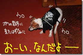 今日カズ１０１１０４　３