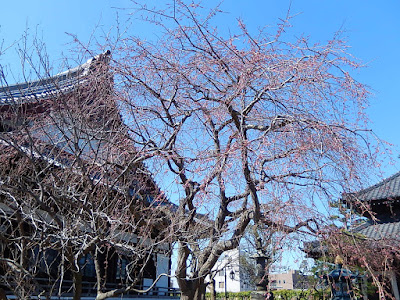  本覚寺