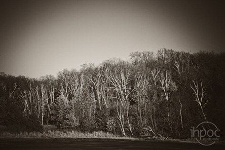 IMG_7966