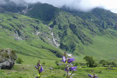 Green Slope at Auli