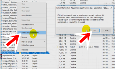 Melanjutkan download yang ERROR di idm 1