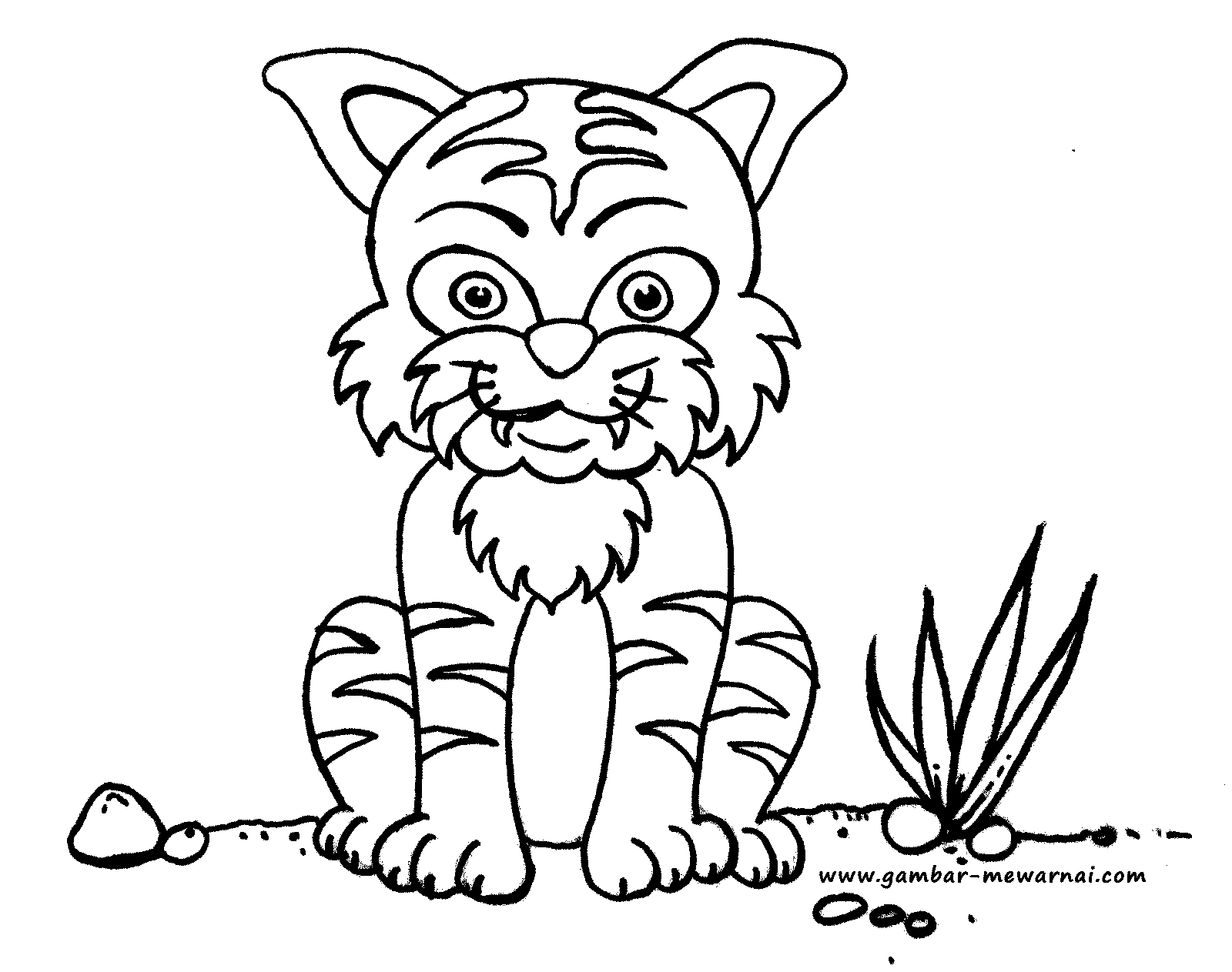  Gambar Sketsa Muka Harimau Sobsketsa