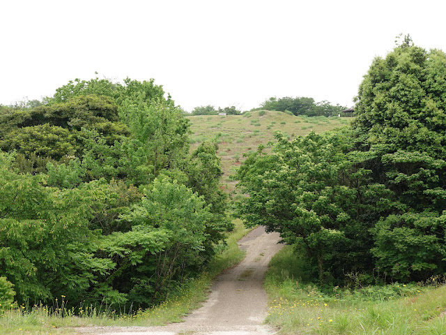 鳥取県西伯郡大山町妻木 鳥取県立むきばんだ史跡公園　環濠からの眺め