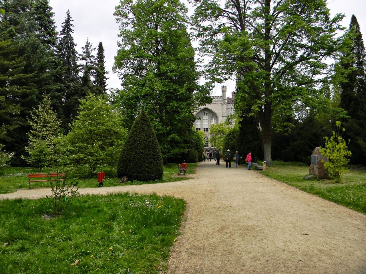 arboretum w Kórniku