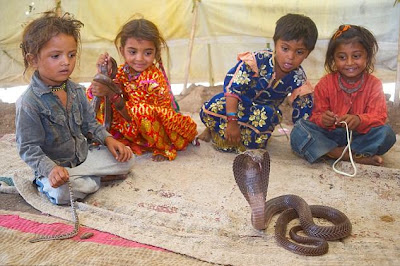 Indian village children taught to be snake caharmers at the age two Seen On www.coolpicturegallery.net