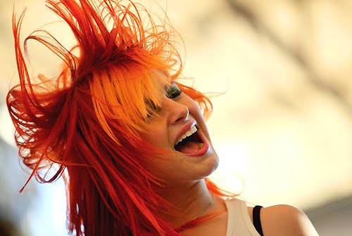 hayley williams twitter scandal pic. 2010 hayley williams twitter