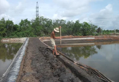 Nông dân Cần Giờ mù mờ về chính những sản phẩm lâu nay họ vẫn sử dụng.