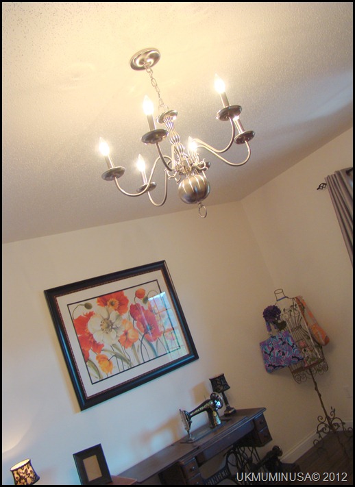 DSC00524 DSC00524