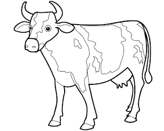 free coloring pages for kids: coloring cow animal