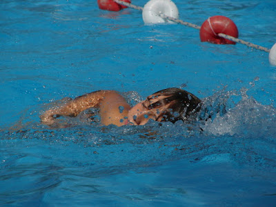 Image of a child swimming Freestyle in a pool. Swimming Lessons More Than Just Learning to Swim