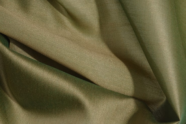 Iguana Green Cotton Silk Fabric