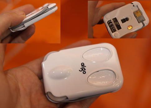smallestMouse2.jpg