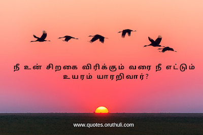 Motivational Quotes in Tamil