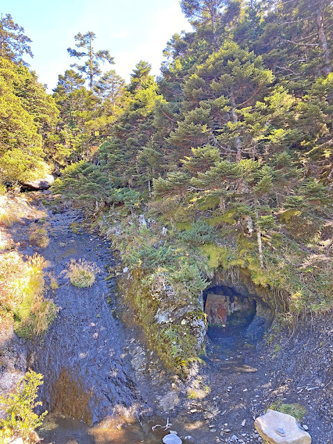 白洋金礦山屋旁山洞