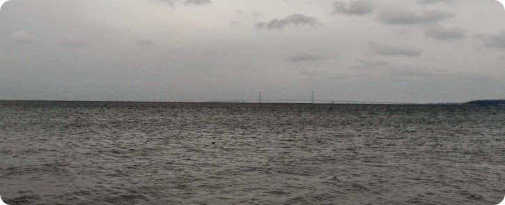 Udsigten ved Kobæk Strand