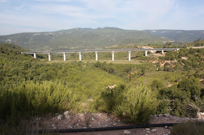 GR-7 LA RIBA A CABRA DEL CAMP, pont del tren d'alta velocitat al terme municipal de Montblanc