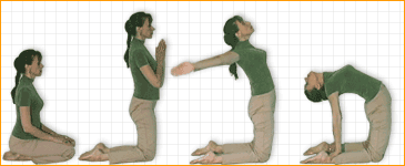 pronunciation Asanas,fitness,exercise,classes,poses: asana  poses = sanskrit yoga Ushtra help Yoga