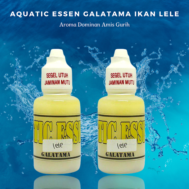 https://pusatessenterbaik.blogspot.com/2020/03/aquatic-essen-galatama-ikan-lele-paling-gacor-terlaris.html