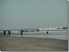 IMGA0502