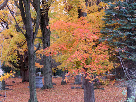 autumn color in a cemetery