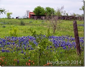 Chappel Hill TX 012