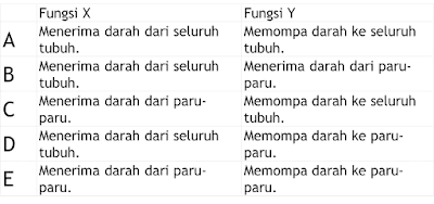 kumpulan soal sirkulasi part II