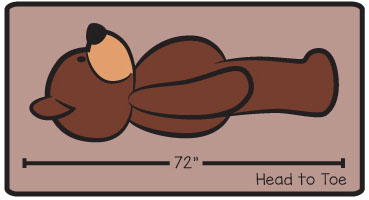 We show you a head to toe measurement