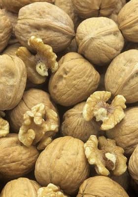 अखरोट उत्तराखण्ड का एक महत्वपूर्ण फल है जो कि केवल मुख्यतः पहाड़ी क्षेत्रों में पाया जाता हैं। growing wallnut in uttrakhand, wallnut fruit