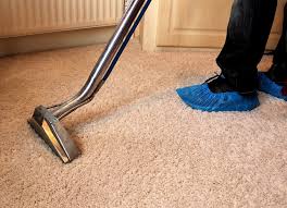 IMPORTANCE OF ORGANIC CARPET CLEANING