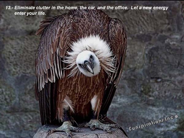 Eliminate clutter in the home, the car, and the office. Let a new energy enter your life.