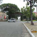 View album