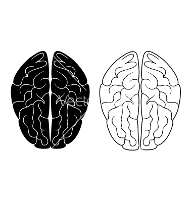 Brain Vector1