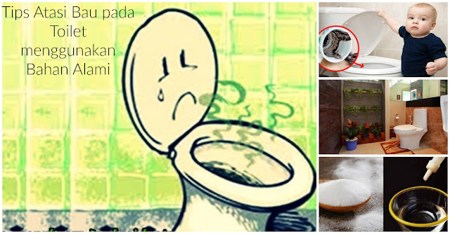 Sudah Disiram Tapi Masih Bau Saja??  Kamu Harus Terapkan 4 Cara Pintar dan Alami Ini Agar Bau Toilet Kembali Segar !!
