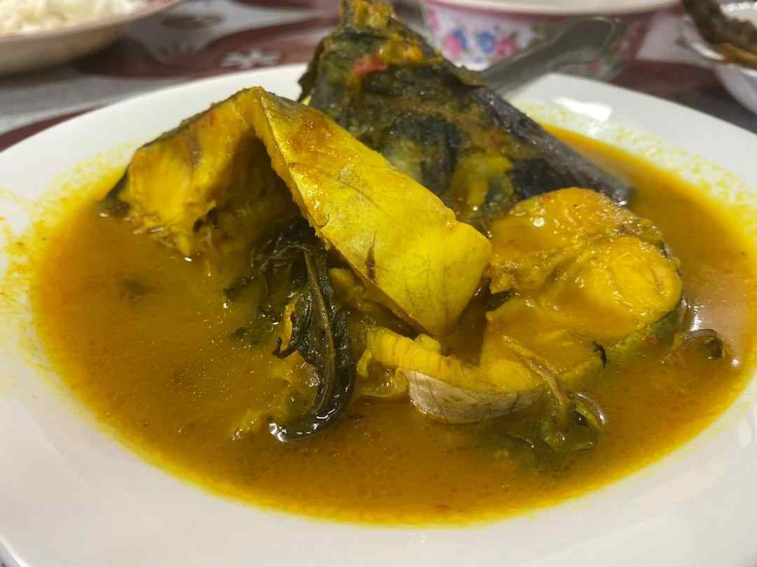 tempoyak patin temerloh