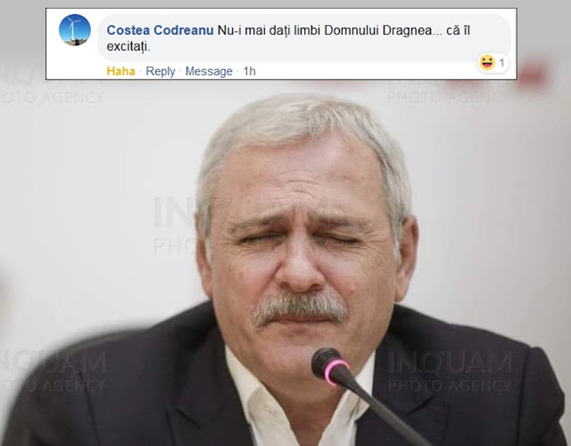 Nu îi mai dați limbi domnului Dragnea - comentariu fabulos