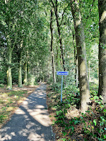 Radweg durch den Wald